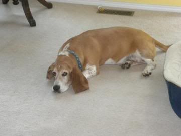 Stretch3.jpg