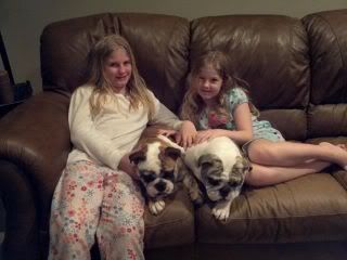 Pupsandgirls.jpg