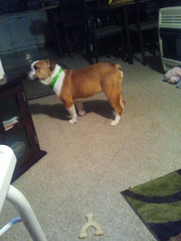 2011-10-04203841.jpg