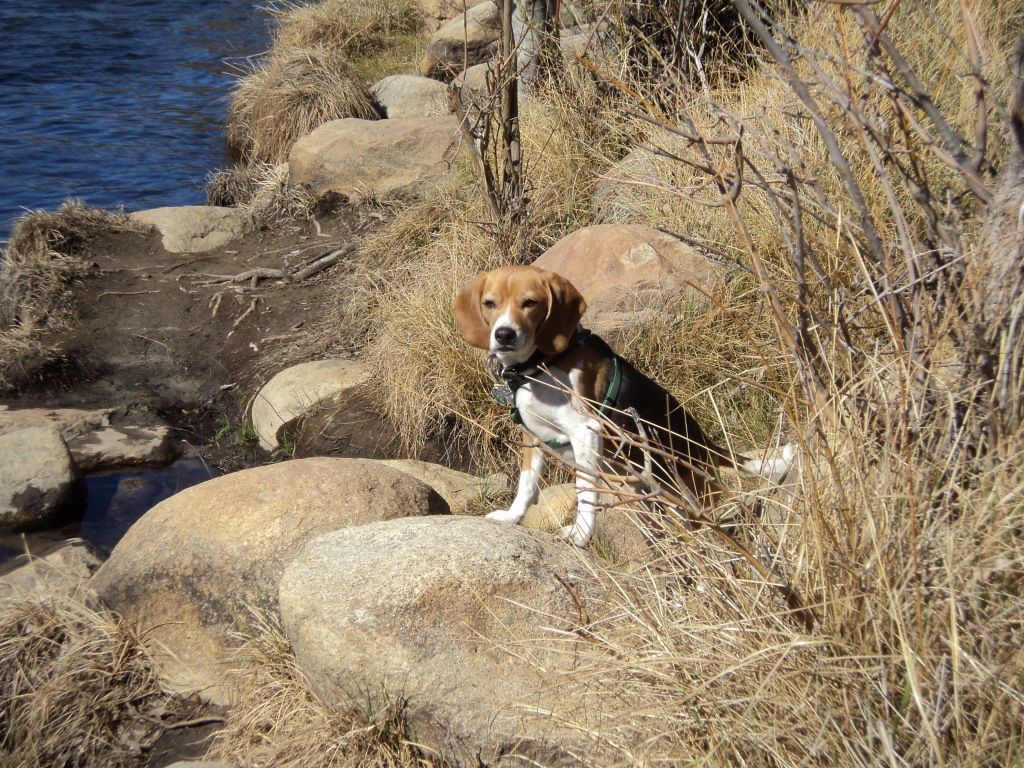 KernMarch2013016.jpg