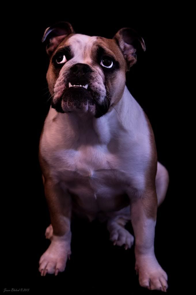 Ellie3_zps6aec8722.jpg
