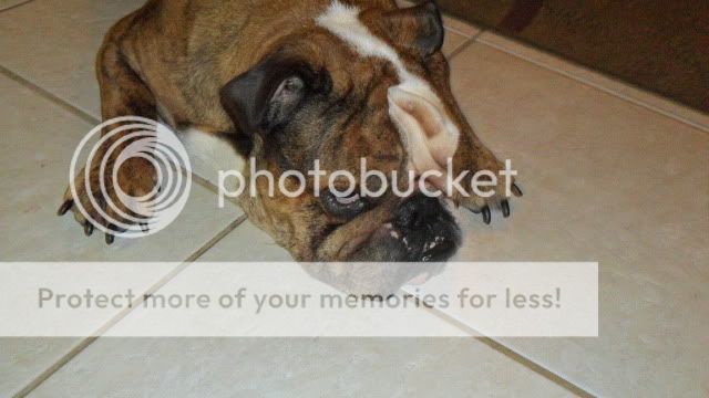 SAM_2430.jpg