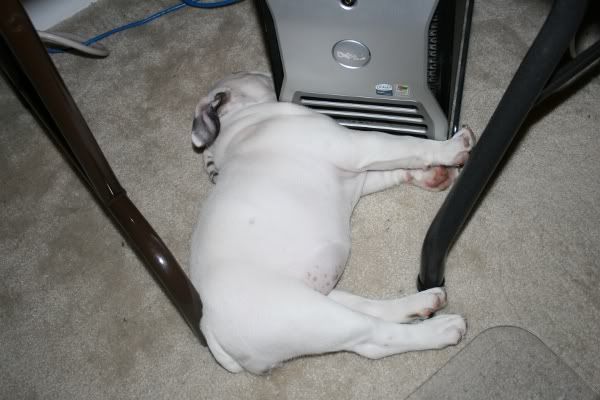 Posture2.jpg