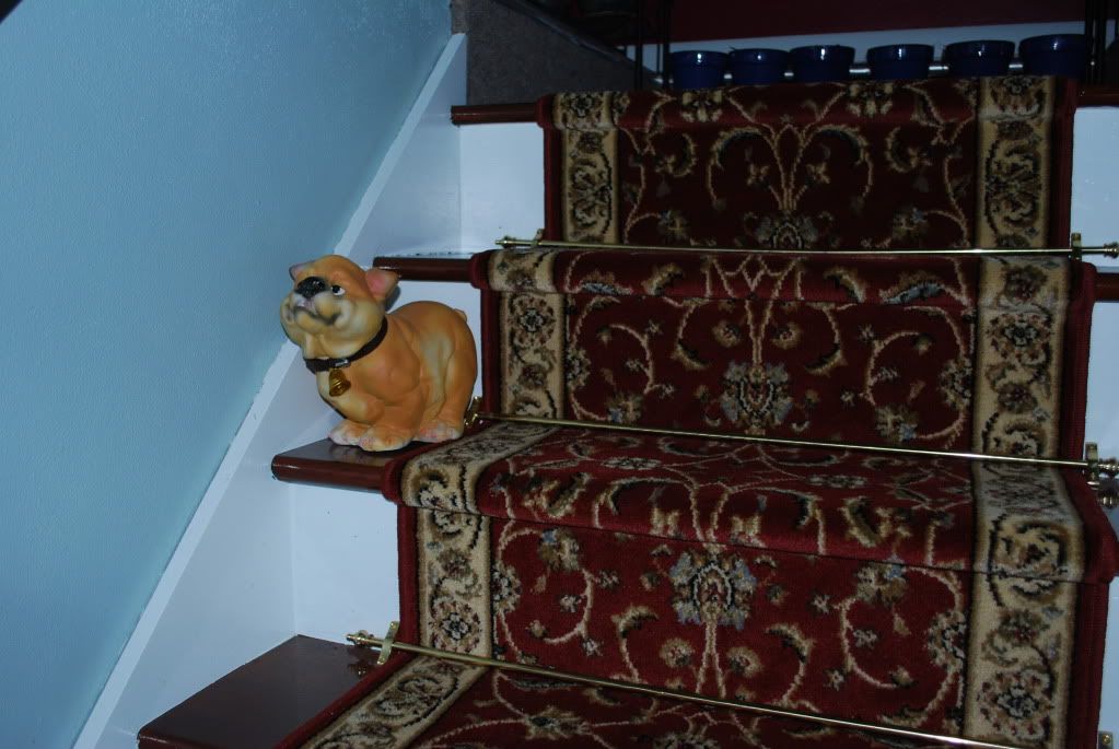 0DSC_0001.jpg