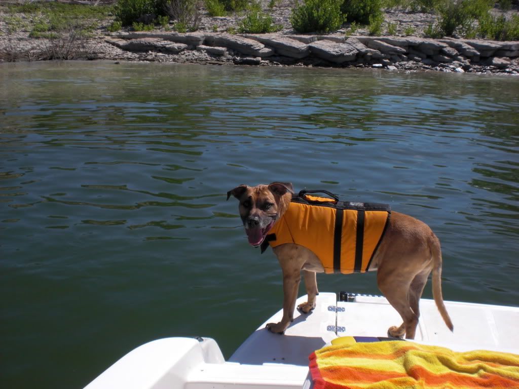 2011Summer023-1.jpg