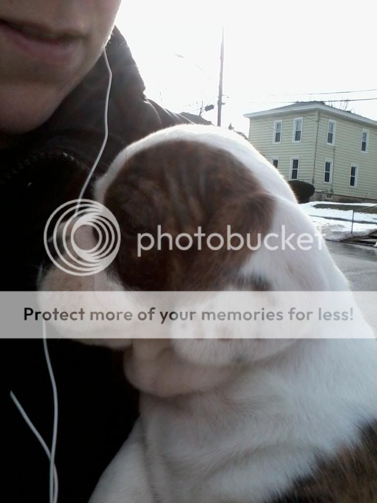IMG_20130112_131249_zps5668c8b9.jpg