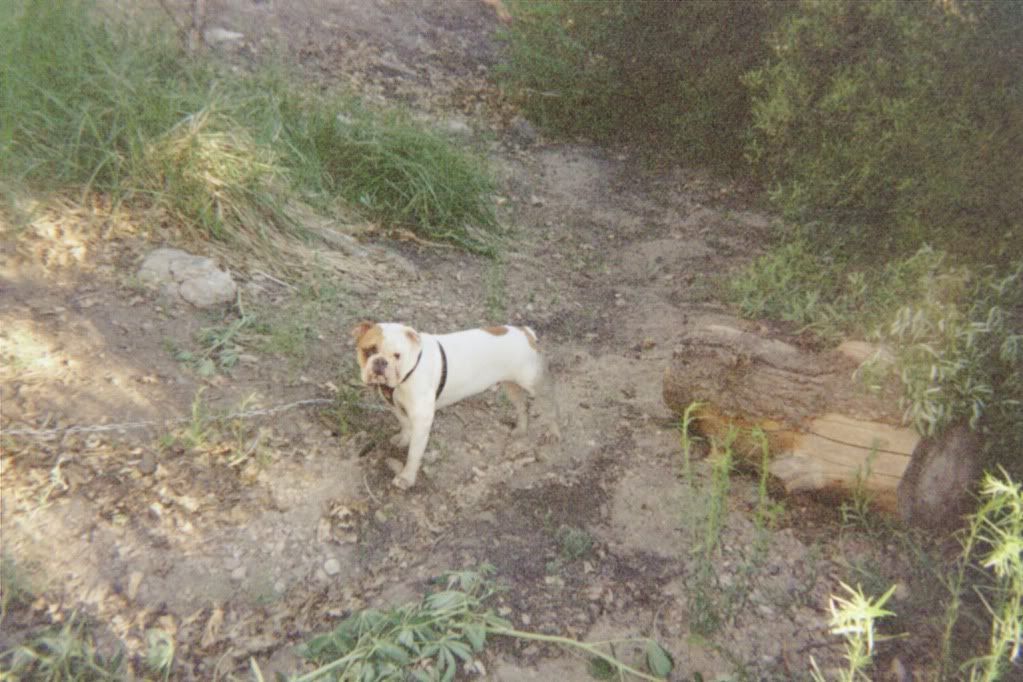 IMG005.jpg