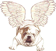 angel_bulldog.gif