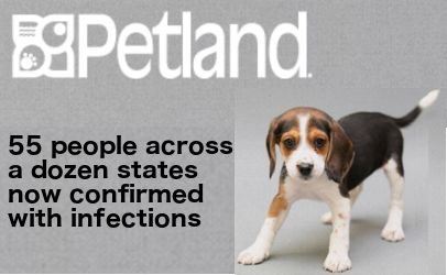 Petland-outbreak-10-03-17.jpg